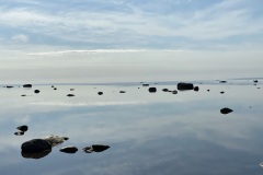 03123E68-DCB3-47D7-BE03-72E97894A220_1_105_c