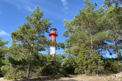 2301A366-7DCB-460C-985C-8509CF9AD046_1_105_c