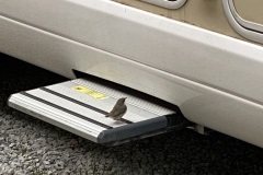 4C527E46-CD53-43AA-8628-C9551B35286E_1_105_c